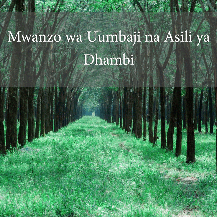 Mwanzo wa Uumbaji na Asili ya Dhambi